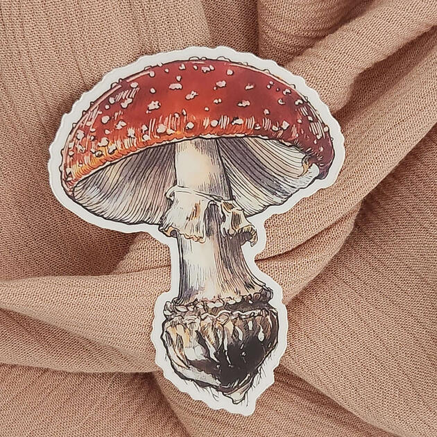 Amanita