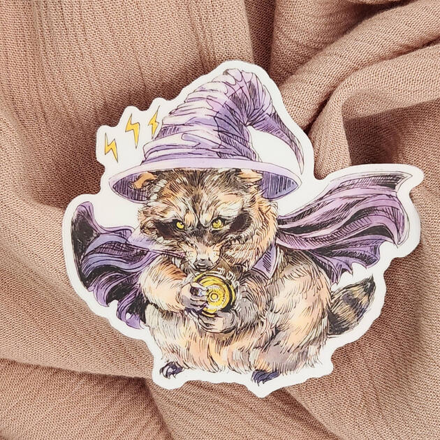 Raccoon Witch